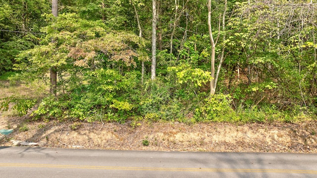 TRACT1 Blair Rd, Mcdonald, TN 37353 - photo 16