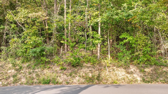 TRACT1 Blair Rd, Mcdonald, TN 37353 - photo 19