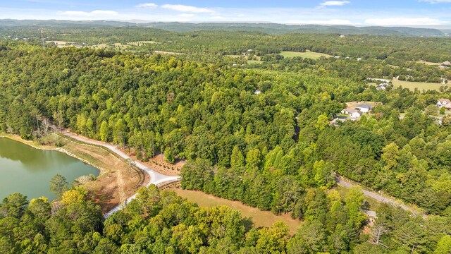 TRACT1 Blair Rd, Mcdonald, TN 37353 - photo 3