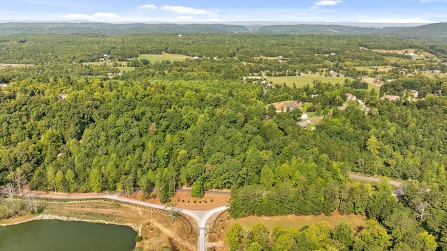 TRACT1 Blair Rd, Mcdonald, TN 37353 - photo 4