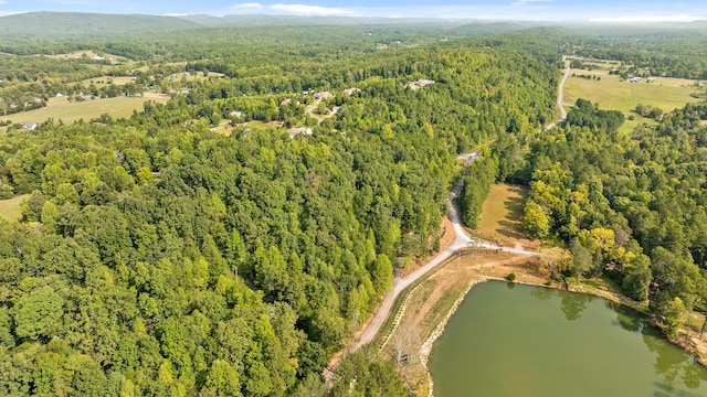 TRACT1 Blair Rd, Mcdonald, TN 37353 - photo 6
