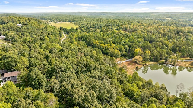 TRACT1 Blair Rd, Mcdonald, TN 37353 - photo 24