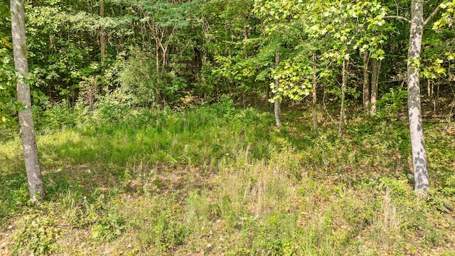 TRACT1 Blair Rd, Mcdonald, TN 37353 - photo 21