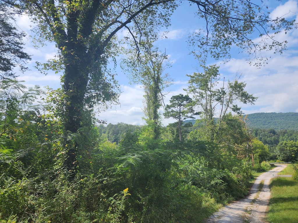 25.2ACRES Spring City Hwy, Rockwood, TN 37854 - photo 1