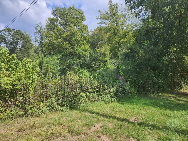 25.2ACRES Spring City Hwy, Rockwood, TN 37854 - photo 4