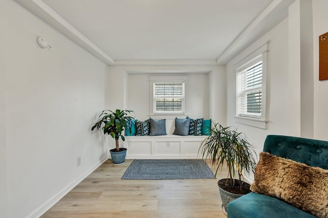 living area featuring plenty of natural light and light hardwood / wood-style flooring