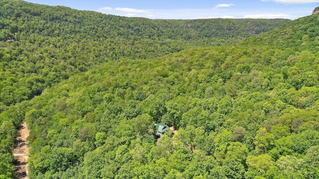 birds eye view of property with a forest view