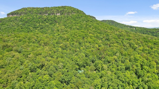 view of mountain feature with a wooded view