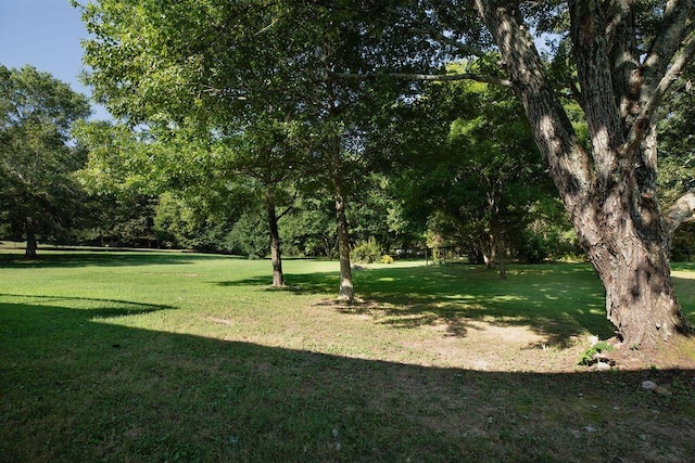 126 County Road 723, Athens, TN 37303 - photo 15