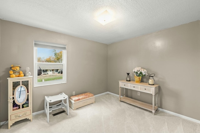 living area featuring a textured ceiling and carpet floors