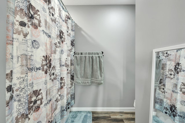 bathroom featuring hardwood / wood-style floors