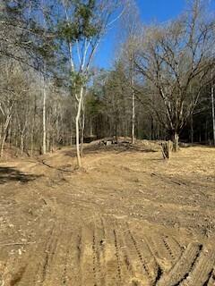 40.41ACRE Chestnut Valley Rd, Vonore, TN 37885