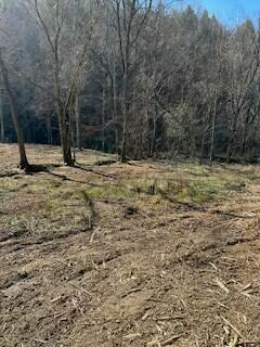 40.41ACRE Chestnut Valley Rd, Vonore, TN 37885