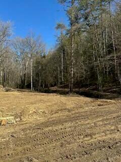 40.41ACRE Chestnut Valley Rd, Vonore, TN 37885