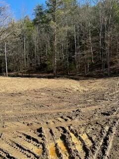 40.41ACRE Chestnut Valley Rd, Vonore, TN 37885