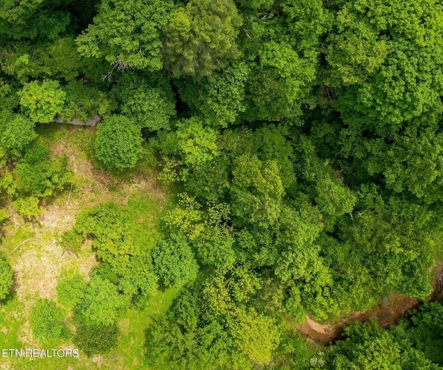 40.41ACRE Chestnut Valley Rd, Vonore, TN 37885
