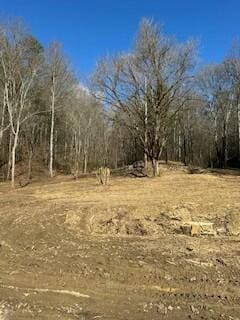 40.41ACRE Chestnut Valley Rd, Vonore, TN 37885