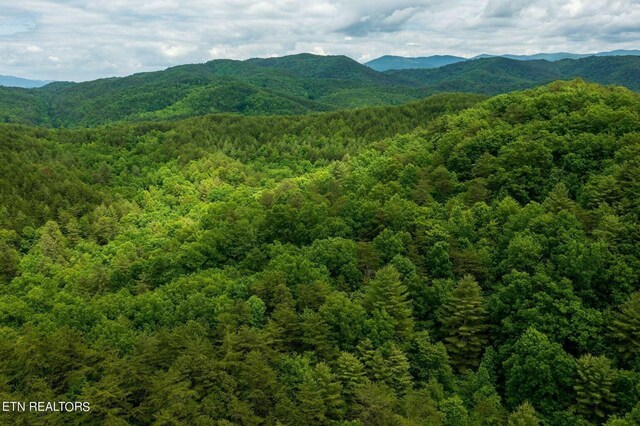 40.41ACRE Chestnut Valley Rd, Vonore, TN 37885