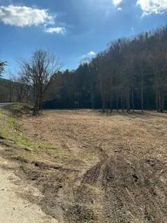 40.41ACRE Chestnut Valley Rd, Vonore, TN 37885