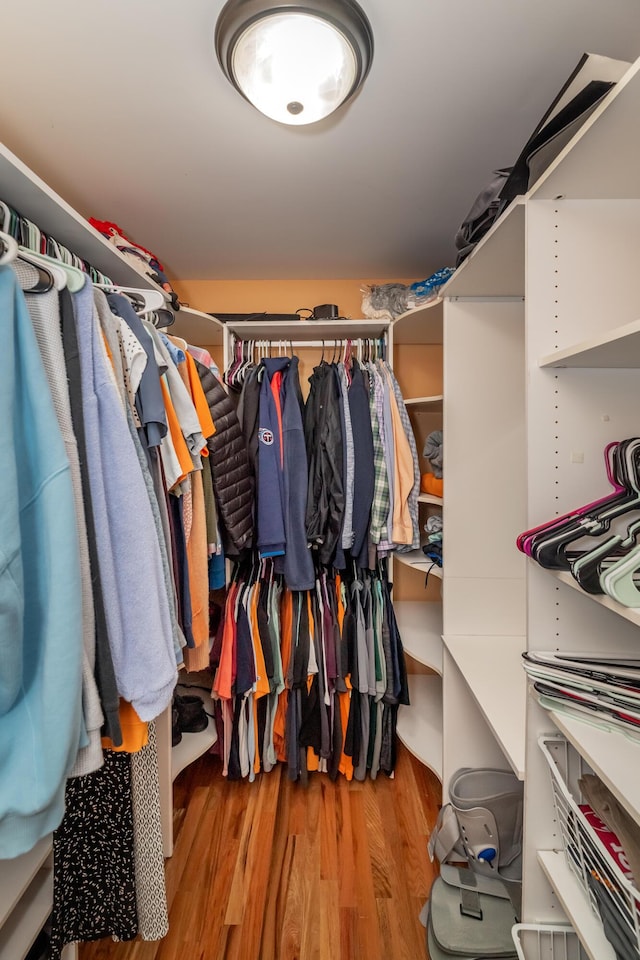 spacious closet featuring light hardwood / wood-style floors