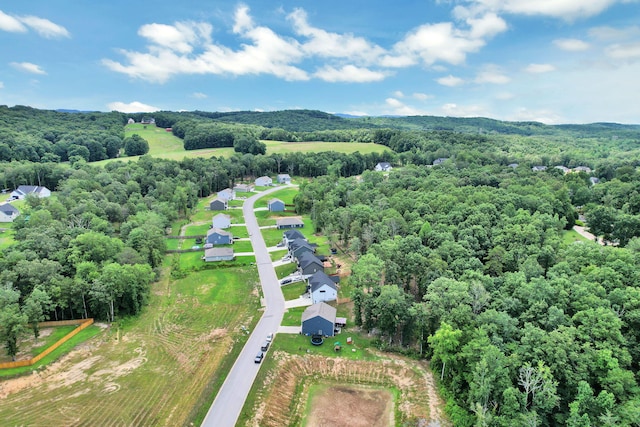 12263 Bull Run, Birchwood, TN 37308 - photo 36