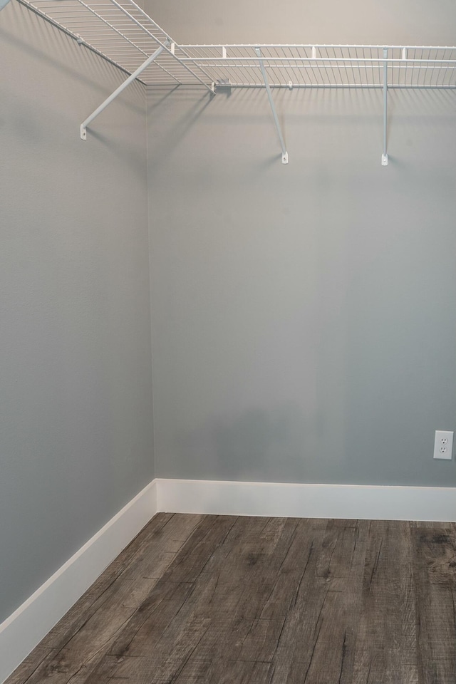 spacious closet with wood-type flooring