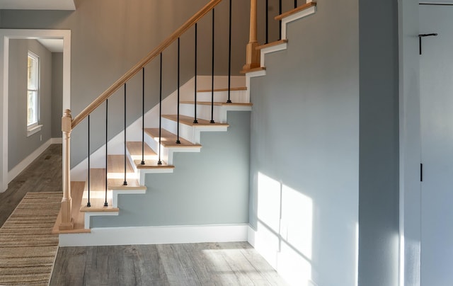 stairway with wood-type flooring