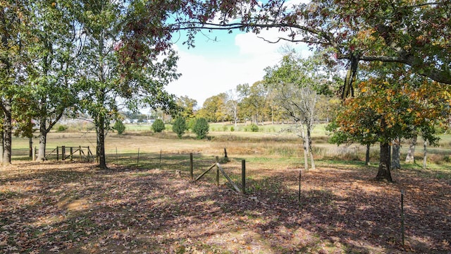 view of yard with a rural view