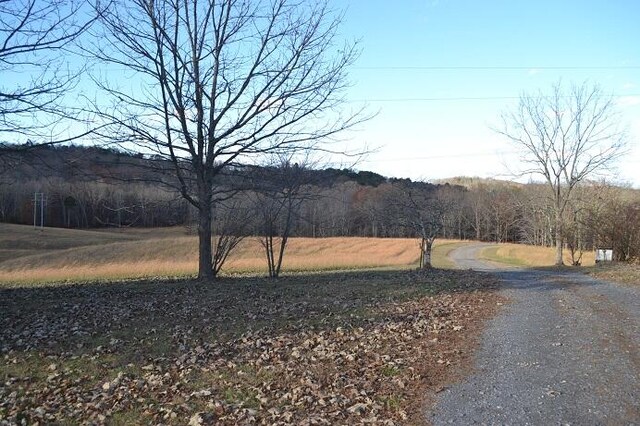 view of road