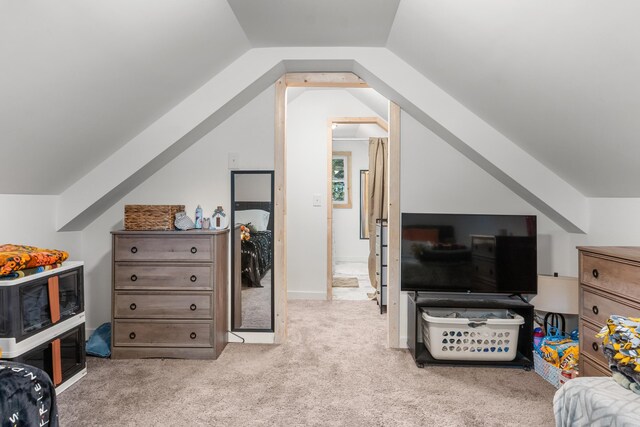 352 W Rhea Ave, Spring City, TN 37381 - bedroom with carpet flooring and lofted ceiling