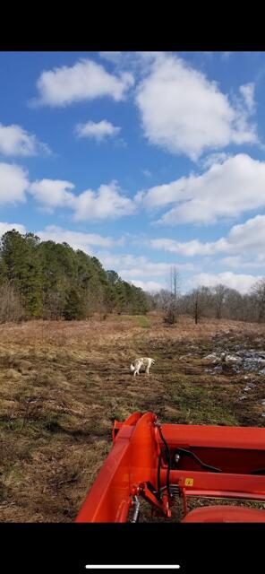 522 Sheep Ranch Rd SE, Cleveland, TN 37323 - photo 40