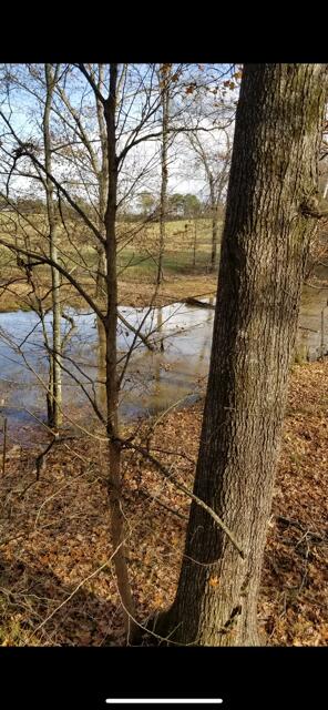 522 Sheep Ranch Rd SE, Cleveland, TN 37323 - photo 46