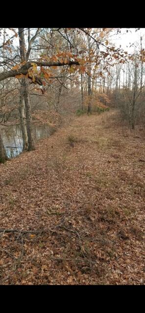 522 Sheep Ranch Rd SE, Cleveland, TN 37323 - photo 48