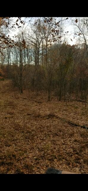 522 Sheep Ranch Rd SE, Cleveland, TN 37323 - photo 47