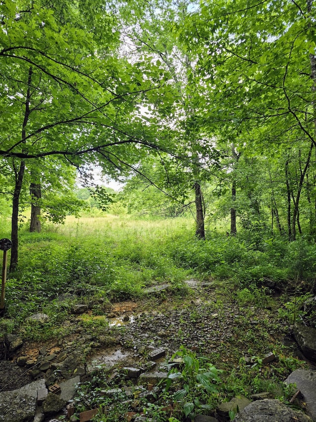 522 Sheep Ranch Rd SE, Cleveland, TN 37323 - photo 53