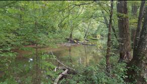 522 Sheep Ranch Rd SE, Cleveland, TN 37323 - photo 39