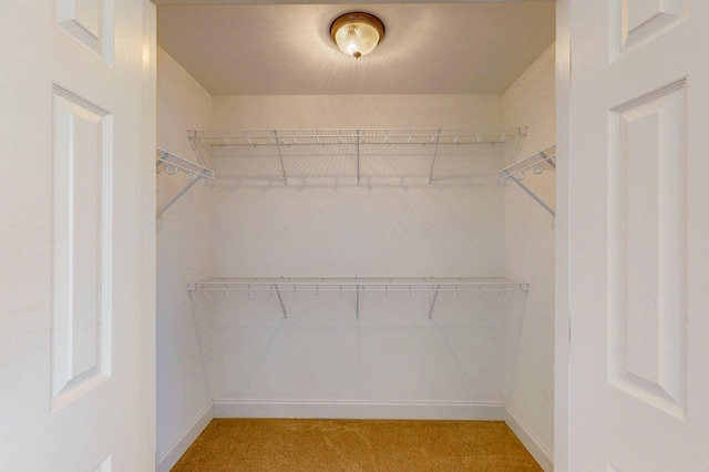 117 Windswept Dr NE, Cleveland, TN 37312 - walk in closet with light colored carpet