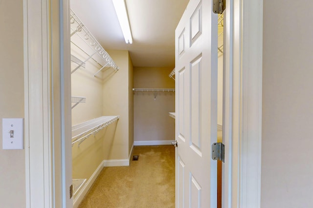 117 Windswept Dr NE, Cleveland, TN 37312 - walk in closet featuring carpet floors