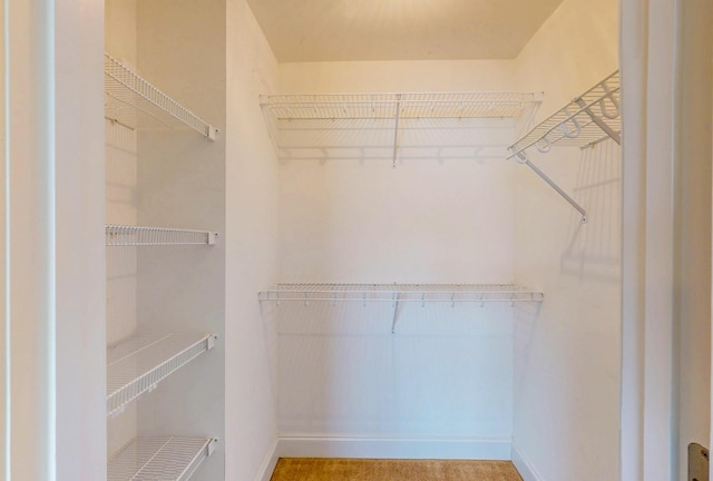 117 Windswept Dr NE, Cleveland, TN 37312 - view of walk in closet