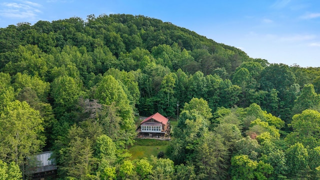 151 Townview Dr, Tellico Plains, TN 37385 - aerial view of property and surrounding area with a heavily wooded area