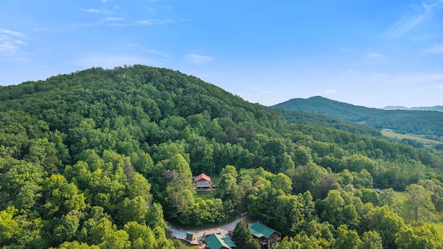 151 Townview Dr, Tellico Plains, TN 37385 - mountain view featuring a heavily wooded area