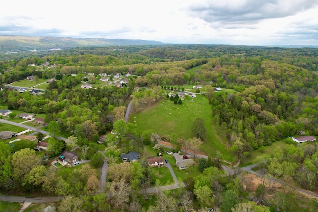 811 Armstrong Ferry Rd, Dayton, TN 37321 - photo 41