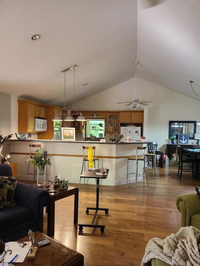 7054 Ski Club Rd, Harrison, TN 37341 - living area featuring lofted ceiling, wood finished floors, and ceiling fan