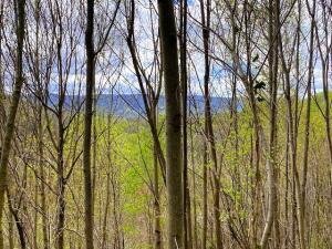 Listing photo 2 for 29ACRES County Road 484, Englewood TN 37329