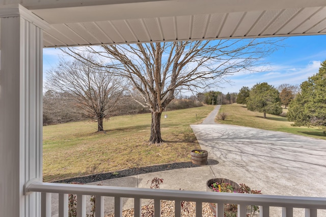 view of yard featuring a patio area