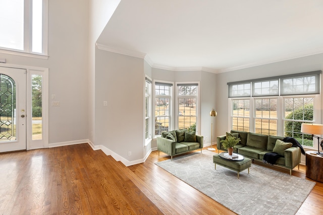 interior space with crown molding and light hardwood / wood-style flooring