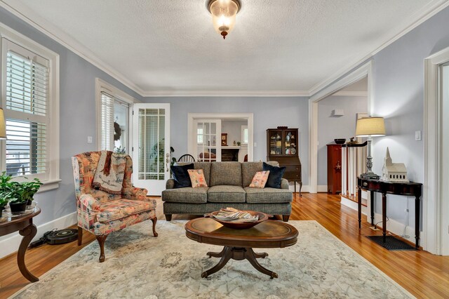 431 Highland Ave NW, Cleveland, TN 37311 - living room featuring light wood-style floors, ornamental molding, and a textured ceiling