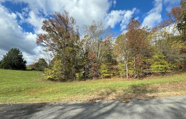 LOT33 Goodfield Ter, Decatur TN, 37322 land for sale