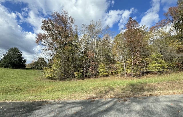 LOT33 Goodfield Ter, Decatur, TN 37322