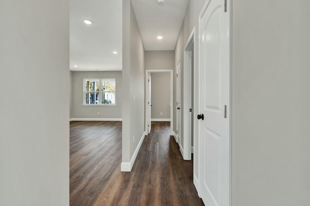 corridor with dark hardwood / wood-style floors